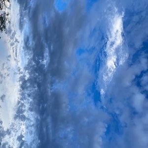 Meet your Posher, nolita bonita